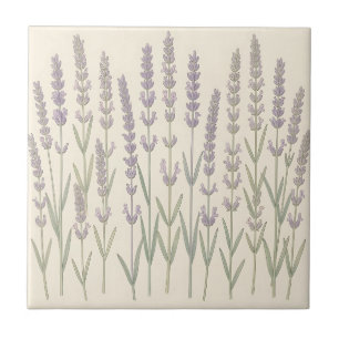 Azulejo De Cerâmica Elegantes hastes de lavanda suave Botânica Roxa 