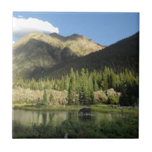 Azulejo De Cerâmica Elk Creek Moose - Weminuche Wilderness - Colorado