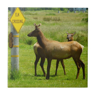 Azulejo De Cerâmica Elk Crossing California Wildlife