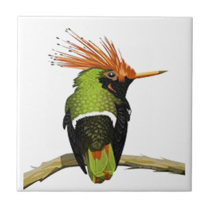 AZULEJO DE CERÂMICA  EM UM MEMBRO