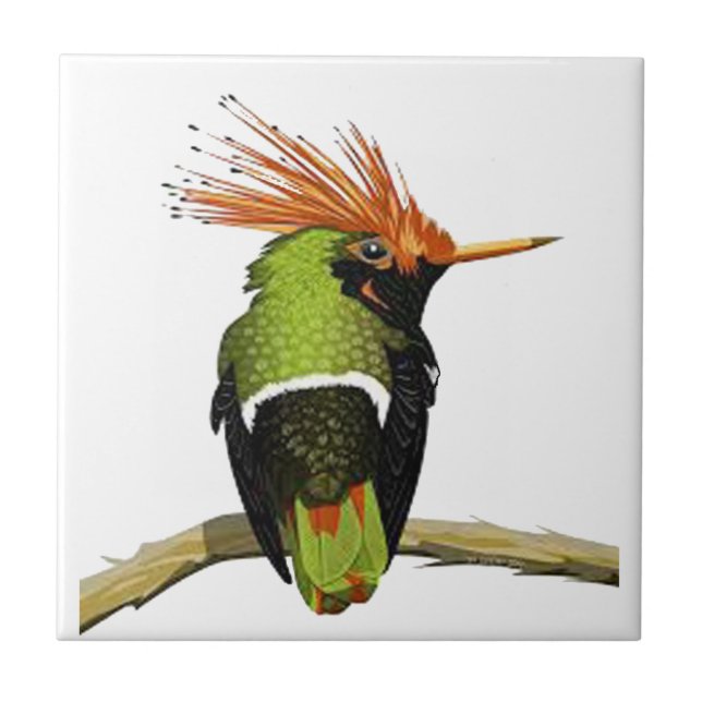 AZULEJO DE CERÂMICA  EM UM MEMBRO (Frente)