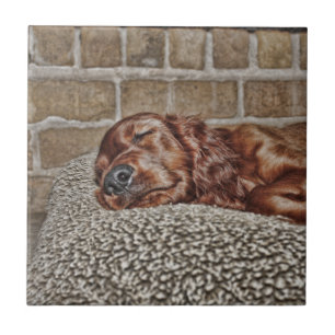 Azulejo De Cerâmica Encanto