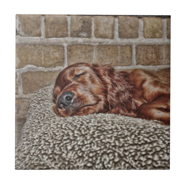 Azulejo De Cerâmica Encanto (Frente)