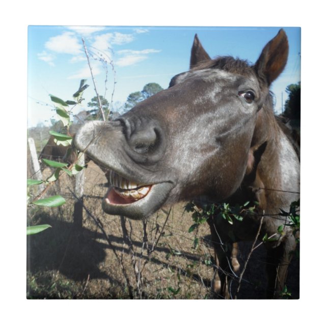 Azulejo De Cerâmica Engraçado Cavalo castanho (Frente)