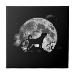 Azulejo De Cerâmica Engraçado Rottweiler Halloween Costume Engraçado