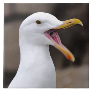 Azulejo De Cerâmica ENGRAY Seagull