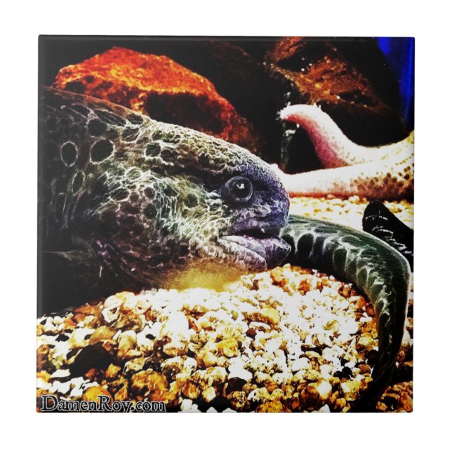 Azulejo De Cerâmica Enguia em Destaque (Frente)