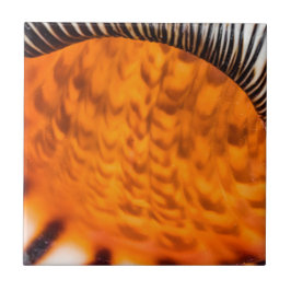 Azulejo De Cerâmica Enxertia em rede