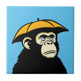 Azulejo De Cerâmica Epe não como chuva