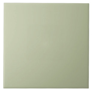 Azulejo De Cerâmica ER Verde Sage bfc6a3 FN