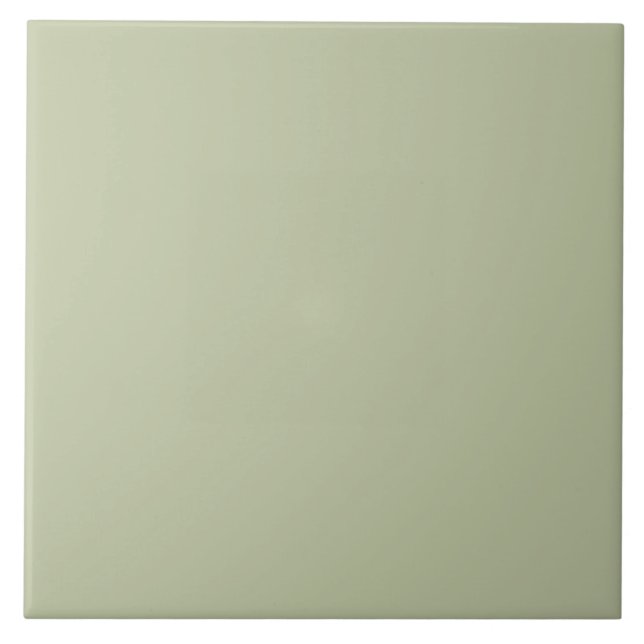 Azulejo De Cerâmica ER Verde Sage bfc6a3 FN (Frente)