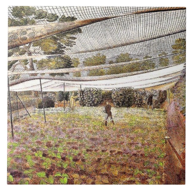 Azulejo De Cerâmica Eric Ravilious art, Strawberry Nets, (Frente)