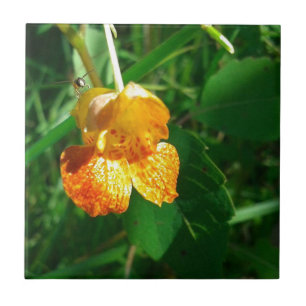 Azulejo De Cerâmica Erva daninha da jóia, Wildflower