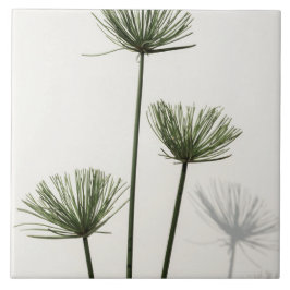 Azulejo De Cerâmica ervas daninhas