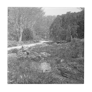 Azulejo De Cerâmica Esboço branco e preto da natureza