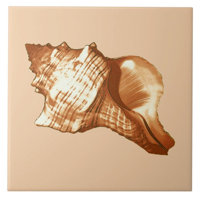 Azulejo De Cerâmica Esboço da concha - castanho, branco e bronzeado (Frente)
