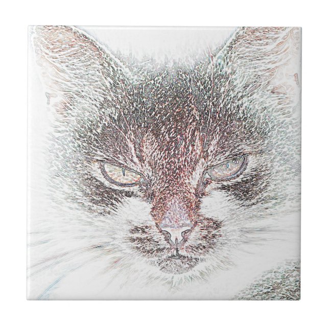 Azulejo De Cerâmica Esboço de Rosto de Gata Fofa e Irritada (Frente)