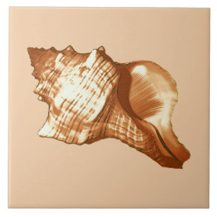 Azulejo De Cerâmica Esboço do escudo do Conch - marrom, branco e tan