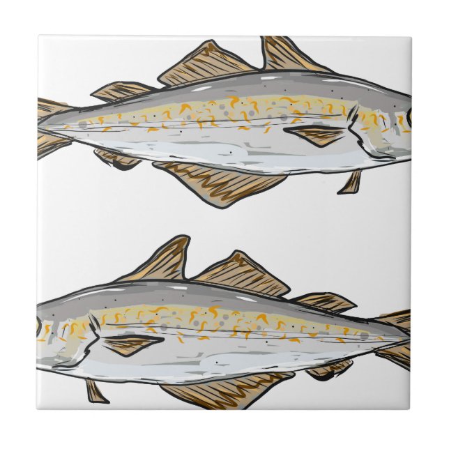 Azulejo De Cerâmica Esboço dos peixes do Pollock (Frente)