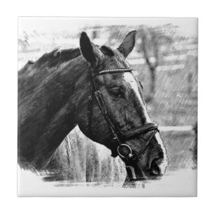 Azulejo De Cerâmica Esboço preto do cavalo branco