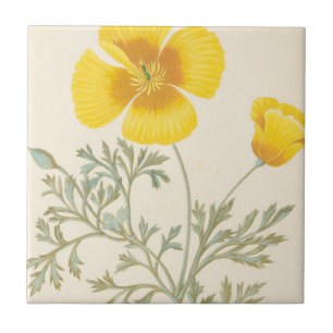 Azulejo De Cerâmica Eschscholtzia californiano