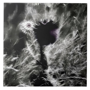 Azulejo De Cerâmica Escolha-me