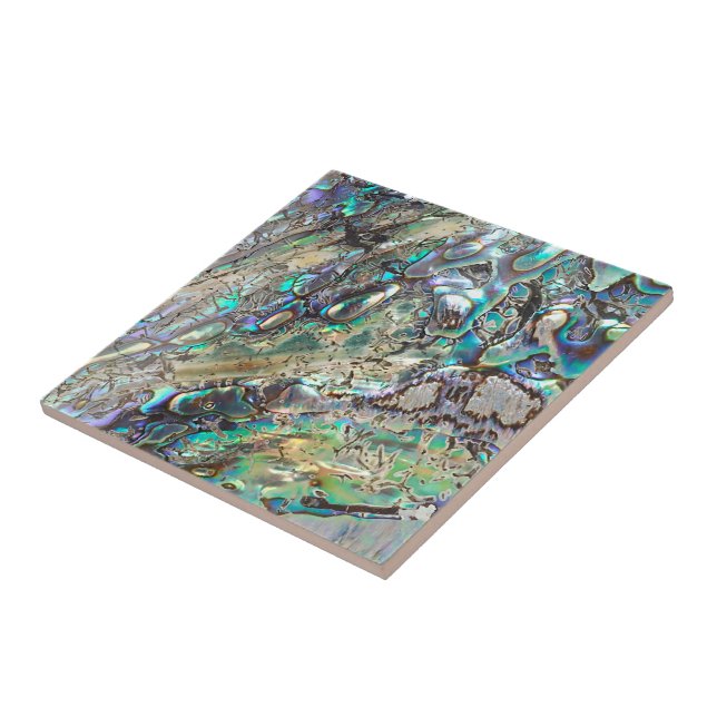 Azulejo De Cerâmica Escudo do paua da rainha (Lateral)