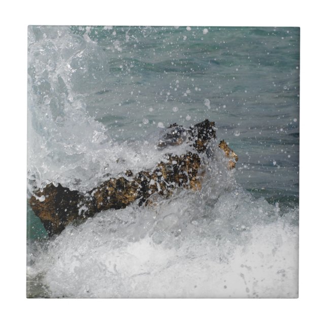 Azulejo De Cerâmica Espadilha marítima (Frente)