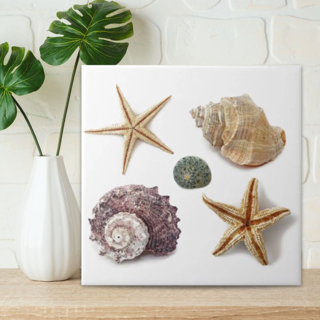 Azulejo De Cerâmica espinheiro-da-praia russa (rustic coastal beach chic seashell starfish ceramic tile)
