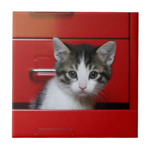 Azulejo De Cerâmica Espreitar do gatinho