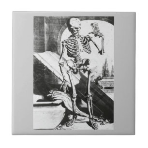 Azulejo De Cerâmica Esqueleto da Anatomia Humani Corporis