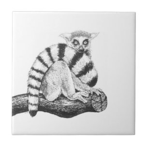 Azulejo De Cerâmica Esquema de Lemur