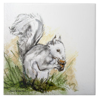 Azulejo De Cerâmica Esquilo Longe. . .