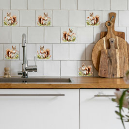 Azulejo De Cerâmica Esquilo vermelho americano