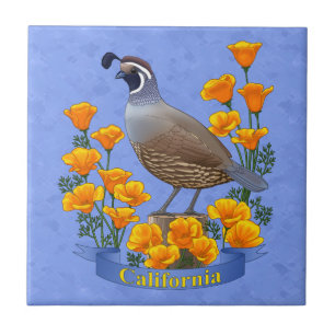 Azulejo De Cerâmica Estado da Califórnia - Pássaro Quail & Ouro Poppy