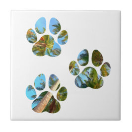 Azulejo De Cerâmica Estampas de cães - Palmeiras tropicais