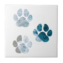 Estampas de pata de cães - Praia e praia