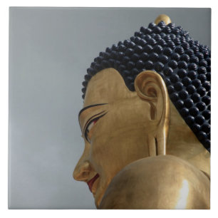 Azulejo De Cerâmica estátua de Buddha Dordenma