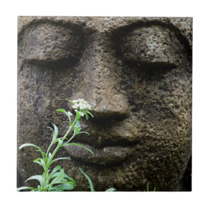 Azulejo De Cerâmica Estátua de jardim de pedra com flor
