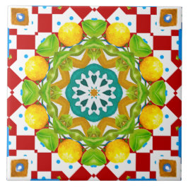 Azulejo De Cerâmica Estilo italiano,azulejos,majolica Impressão de tud