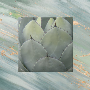 Azulejo De Cerâmica Estilo Sudoeste da Planta Agave Cactus