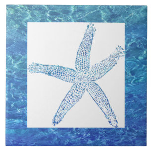 Azulejo De Cerâmica Estrela-do-mar Água Decoração Presente Branco Prai