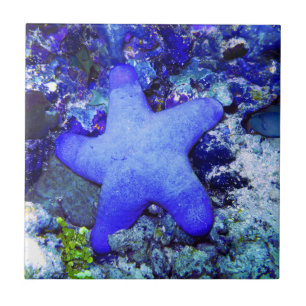 Azulejo De Cerâmica Estrela do mar azul tropical que descansa no coral