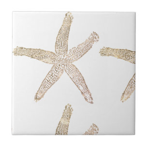 Azulejo De Cerâmica Estrela-do-mar Praia Costeira Cinza Bege Branco Pr