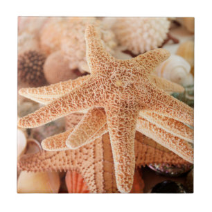 Azulejo De Cerâmica Estrelas-do-mar secas vendidas como lembranças 2