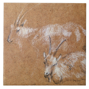 Azulejo De Cerâmica Estudo das cabras (desenho)