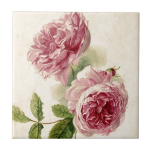 Azulejo De Cerâmica Estudo do século XVIII do rosa do rosa