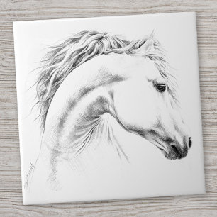 Azulejo De Cerâmica Estudo-retrato de cavalos desenhando arte equestre