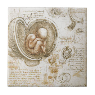Azulejo De Cerâmica Estudos de Leonardo da Vinci do feto no ventre