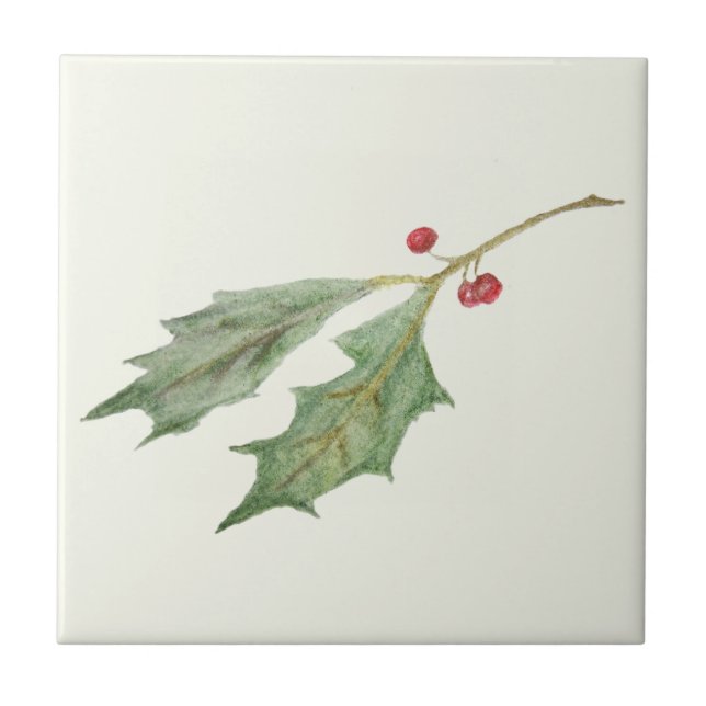 Azulejo De Cerâmica Etiqueta Botânica de Natal Holly Sprig (Frente)